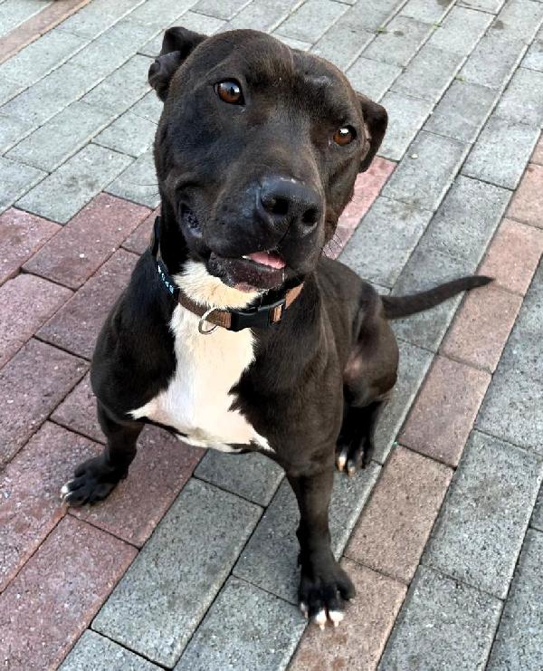 MAX CERCA CASA Foto 3